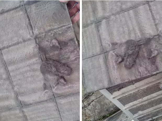 廠空調(diào)過(guò)濾網(wǎng)長(zhǎng)期未清理導(dǎo)致完全堵塞