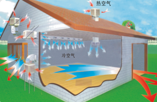 工業(yè)冷風(fēng)機基本原理